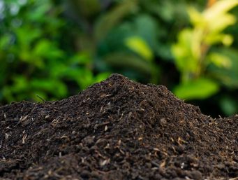Compost