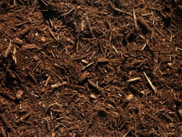 Shredded Hardwood