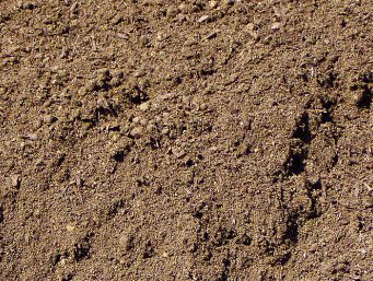 Top Soil