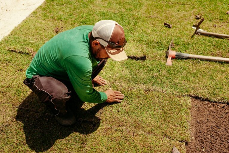 Sod Installation