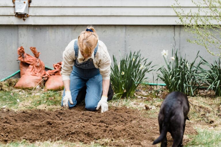 lawn mix soil for Houston sod