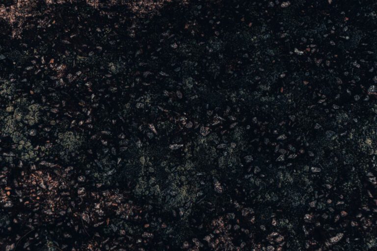black mulch