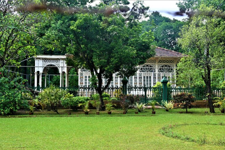 Lawn