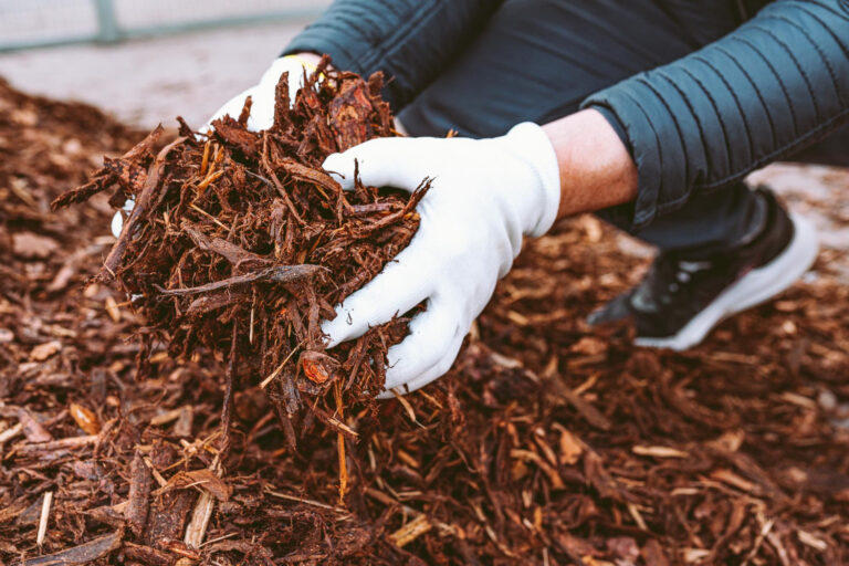 Mulch Choices
