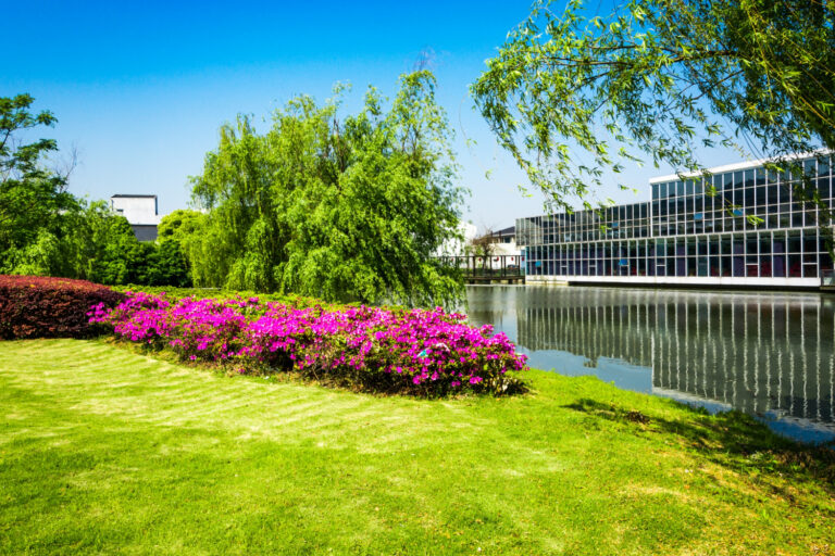 Commercial Landscaping